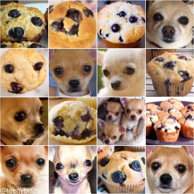 Moquons nous-20240610082108349.png